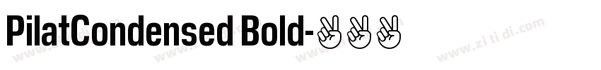 PilatCondensed Bold字体转换